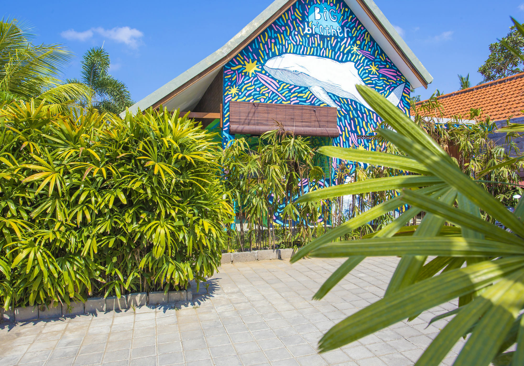 Big Brother Surf Inn Canggu Exterior foto
